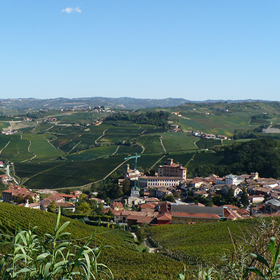 The Barolo to Beat